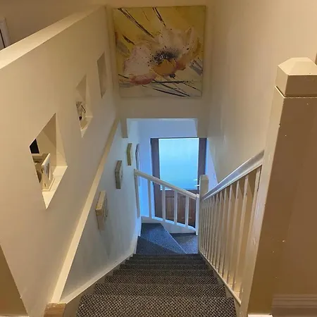 Victoria's Countryside Mallow